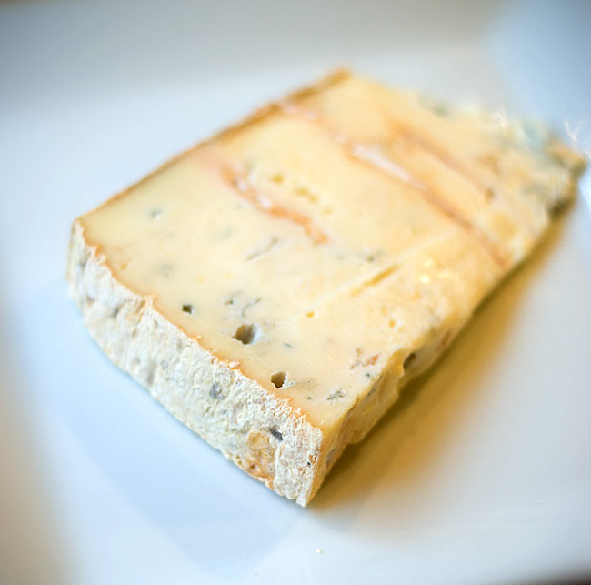 gorgonzola